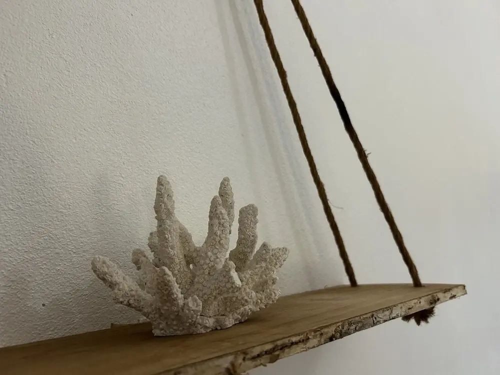 Villa et Appartement indépendant