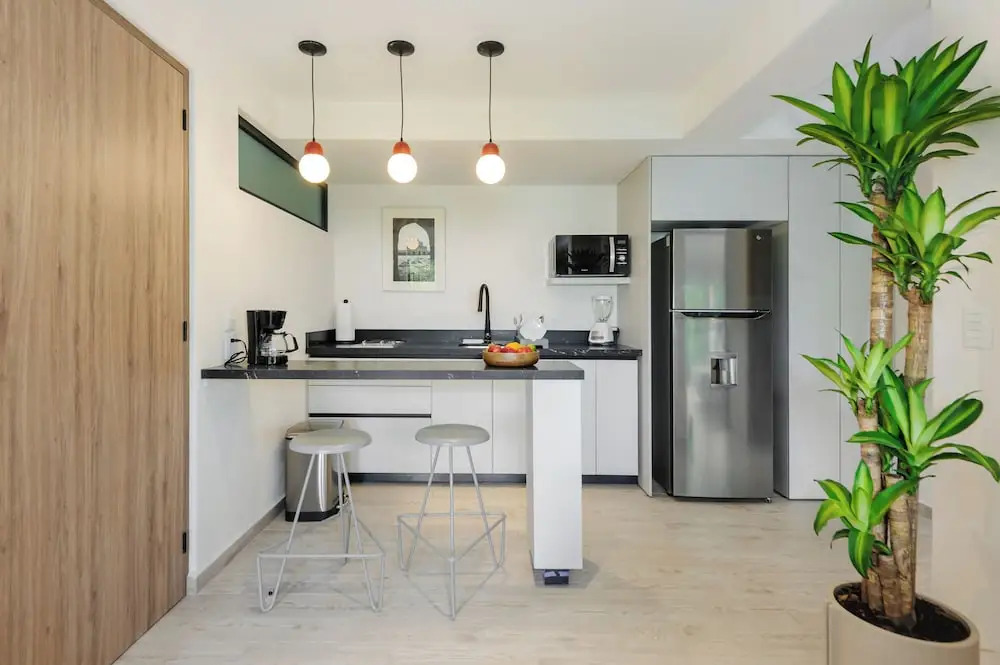 Choapan 28 - Lux Apartments in Condesa