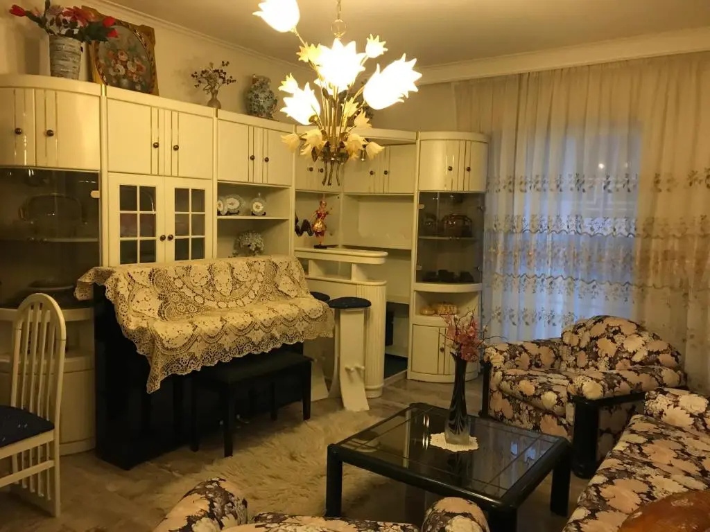 Luxury apartment close to city center, university and children's hospital