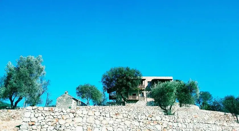 Apollonia Lodge