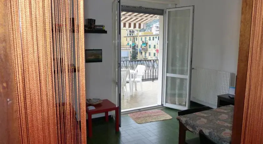 House Violino