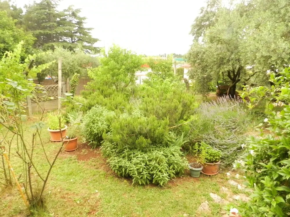 Apartment Antonia