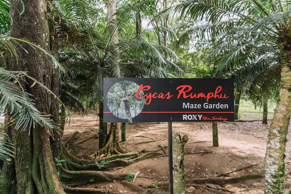 Roxy Telok Serabang