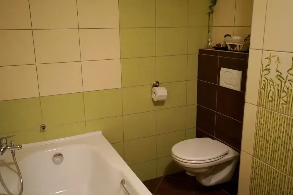 Apartment Boroví