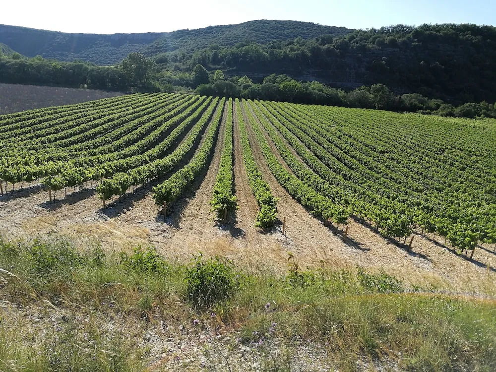 MONLOUBIER