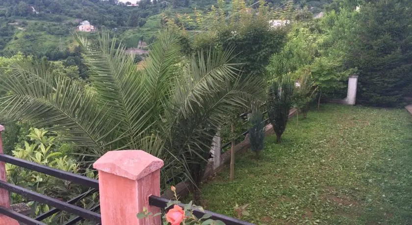 To Jijavadze Guest House