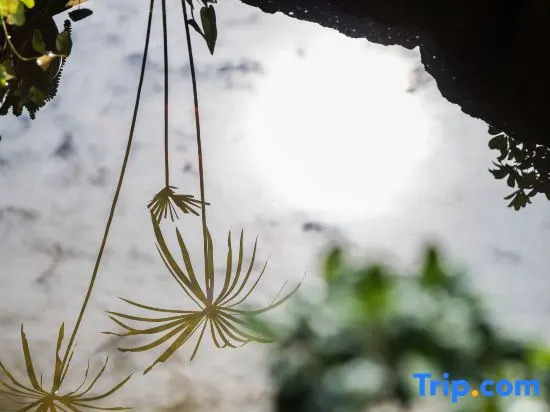 Tingxi B&B