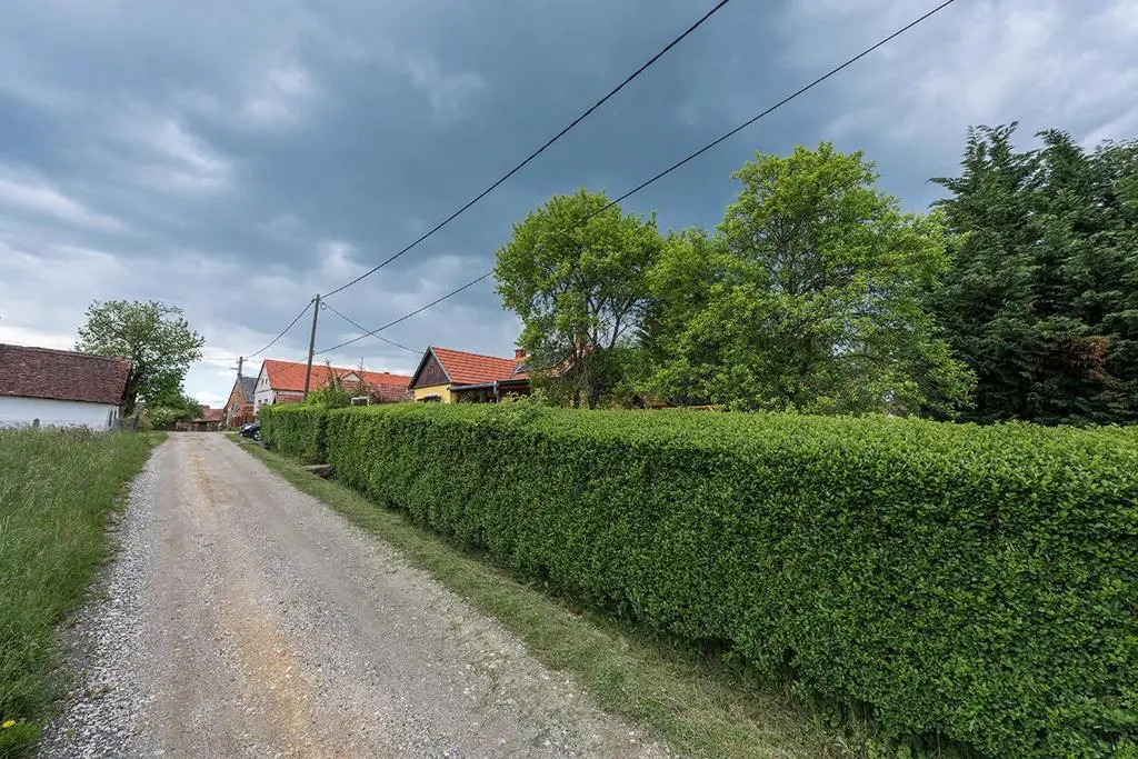 Csavargó Tanya