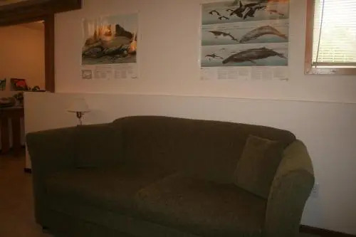 Wild Edge Lodge