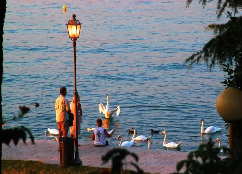 Nice Ground Floor Apartment Located near Peschiera
