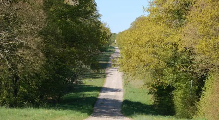 Haras des Hayes