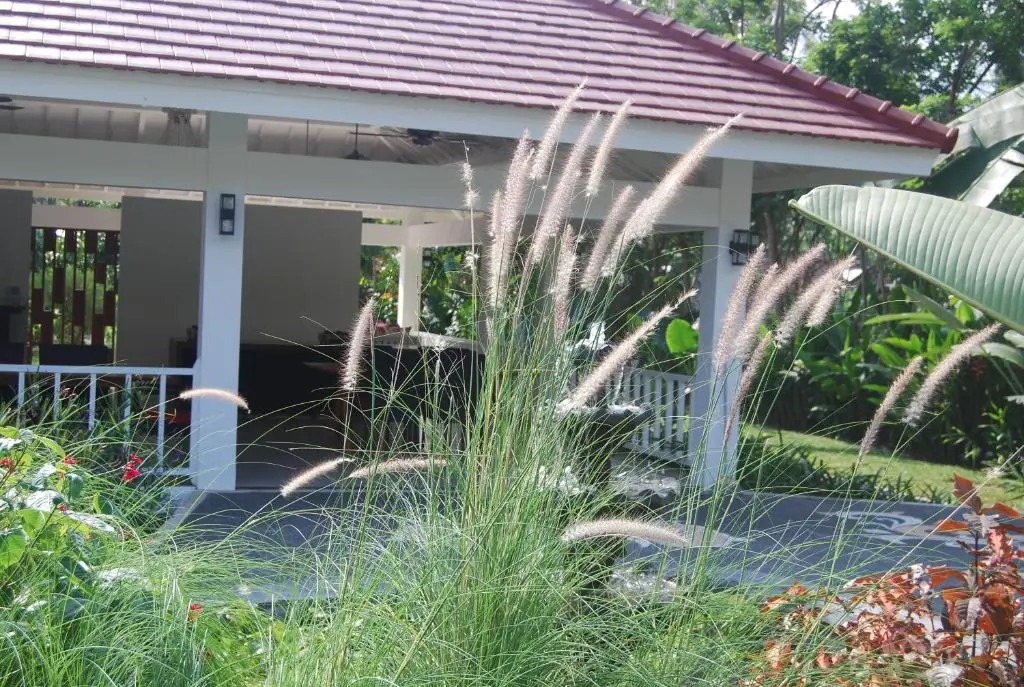 Daphne Homestay & Cooking Class