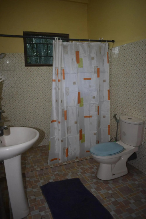 villa 729