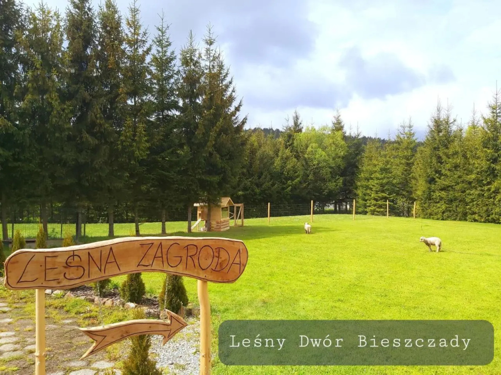 Leśny Dwór Bieszczady