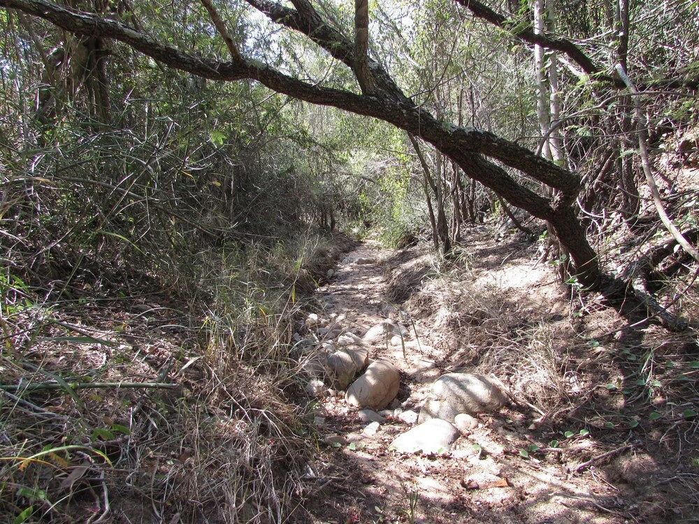 Two Bedroomed Bush-tent on the Klaserie River, With Free Lion Hyena Sounds