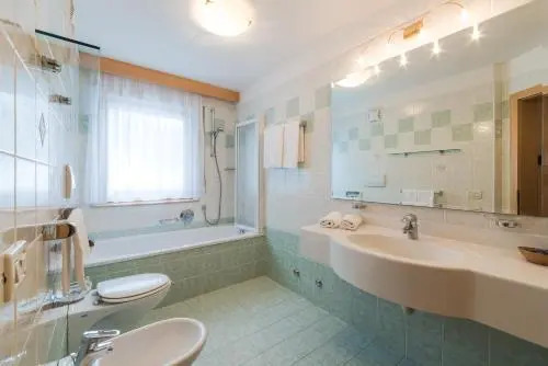 Residence Chalet Pinis