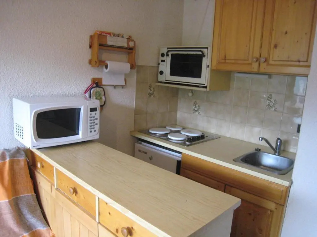 Appartement La Clusaz, 1 pièce, 4 personnes - FR-1-459-102