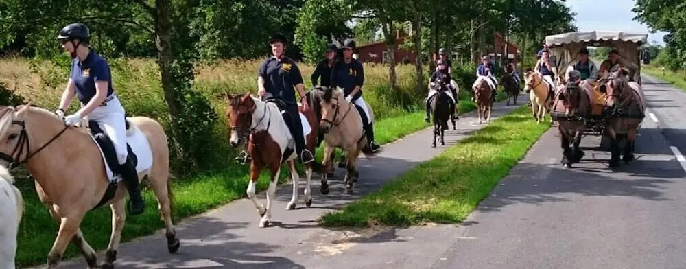 Reit- und Ferienhof Maack