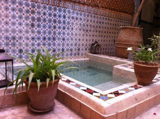 Riad Ineslisa