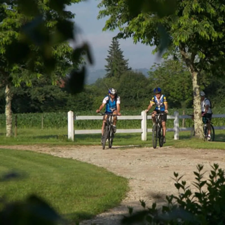 Domaine de Borie Chambres d'Hôtes