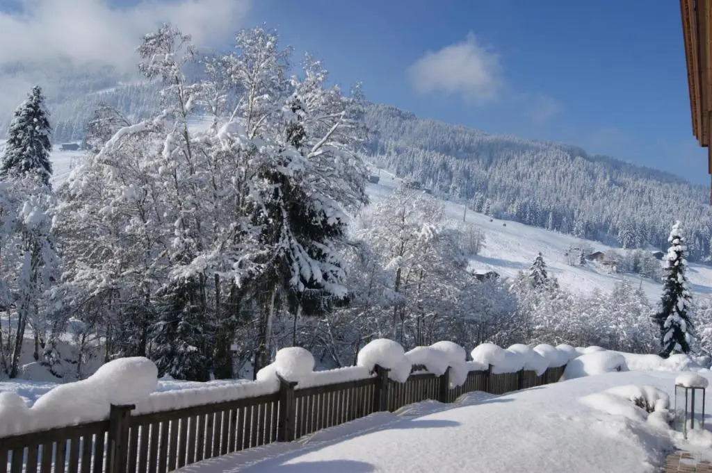 Alpbach Loft
