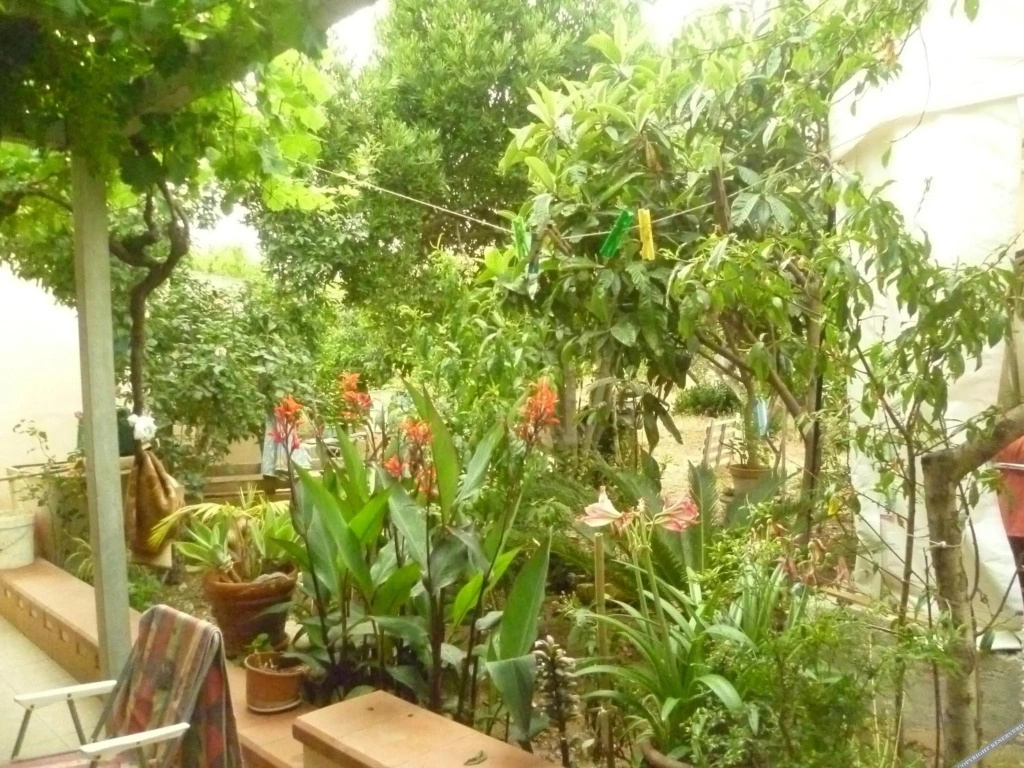 Villa Contino