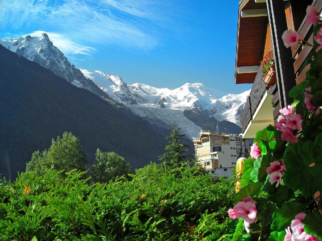 Apartment Les Jardins du Mont-Blanc.5