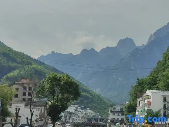 Huangshan Danqing Xiaozhu · Villa Art Guesthouse (South Gate of Huangshan Scenic Area)