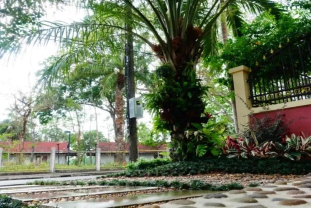 P.P. Palm Mansion