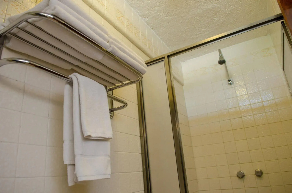 Hotel Casa Colonial Cozumel-Dog Friendly