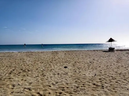 Sal Service Beachside 8