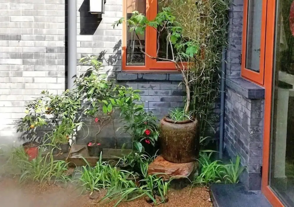 Habitat Quadrangle - Yu Ge Hutong