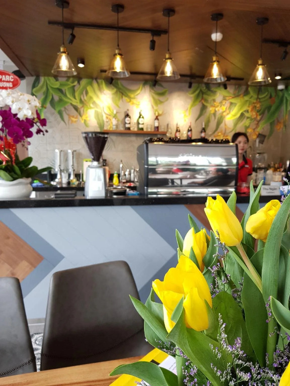 Orchid Boutique Hotel & Apartment