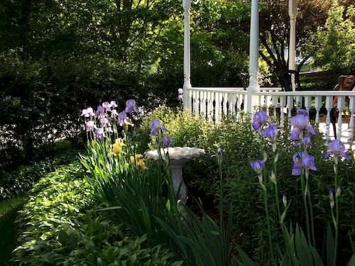 Thornton House Bed and Breakfast
