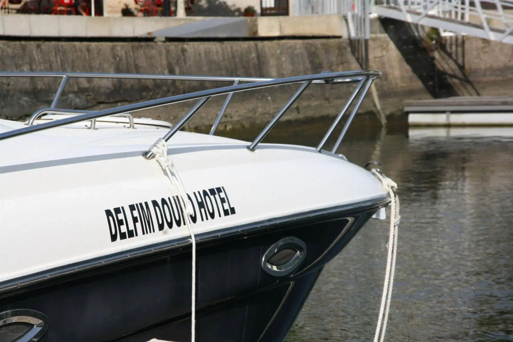 Delfim Douro Hotel