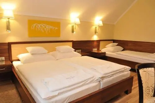 Mizse Motel