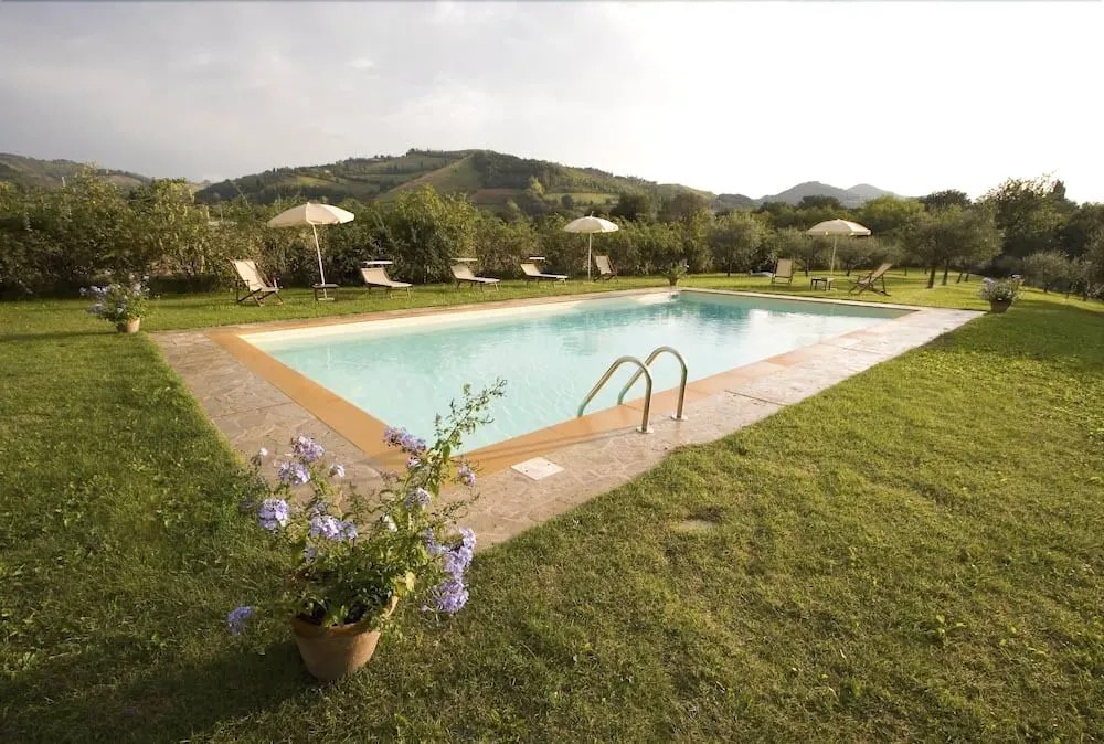 Verdidea - Ovello