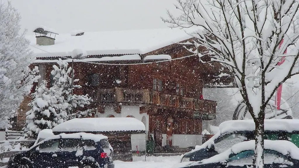 Scheffauerhof