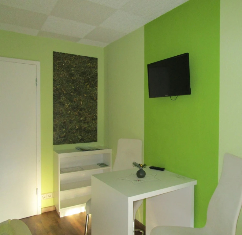 Pension Willischza