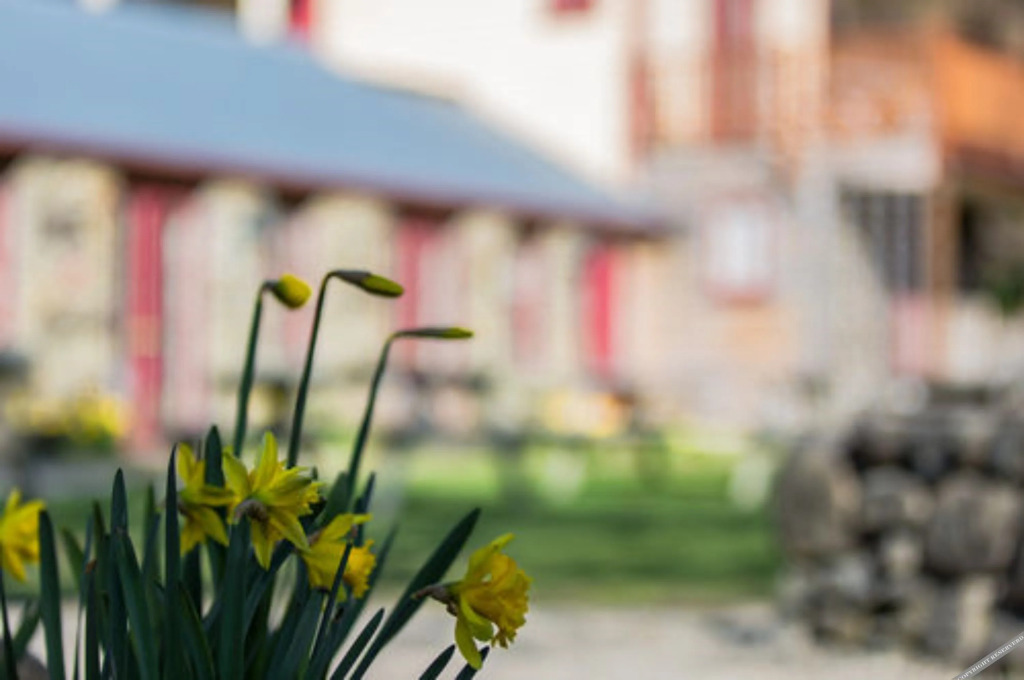 Cardrona Hotel