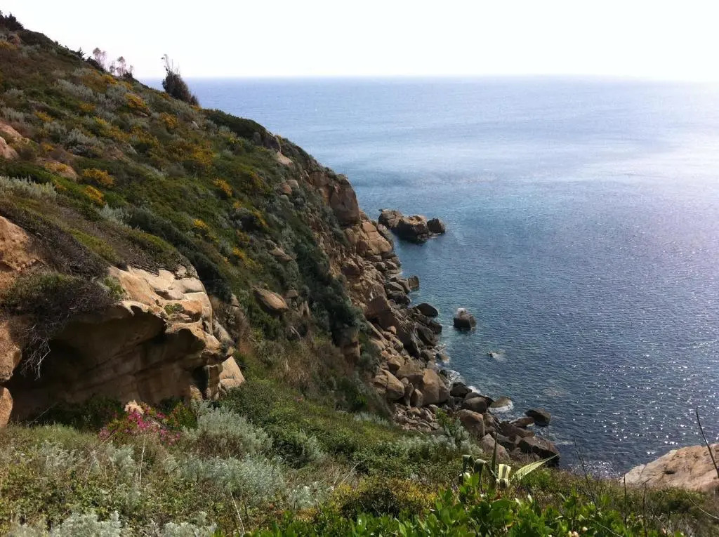 Campese Apartments