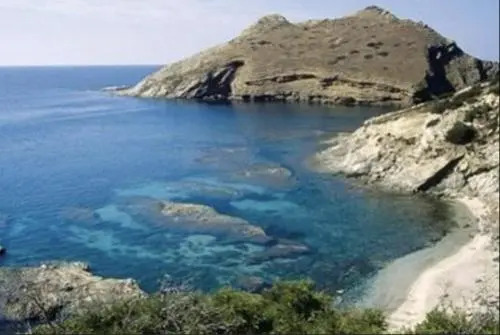 Lentischi