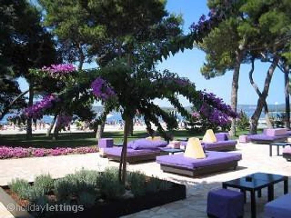 Apartment for 4 Guests Near the Beach in Biograd, Lovely Garden Modern Furnished