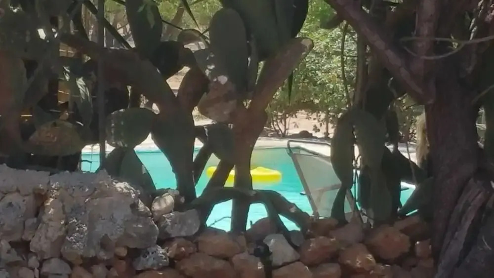 Agriturismo Vita e Natura