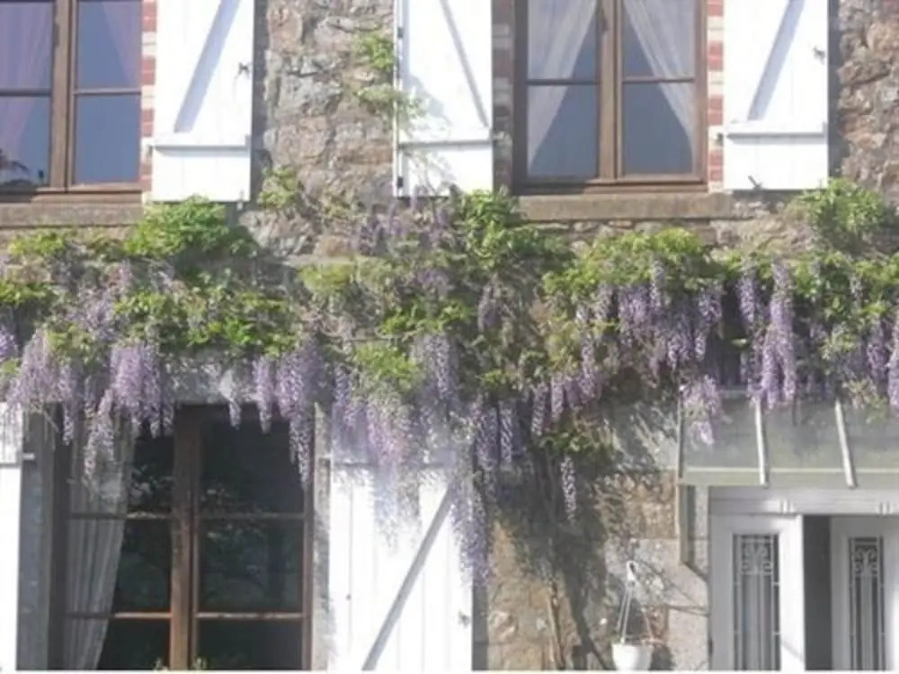 Le Jardin B&B