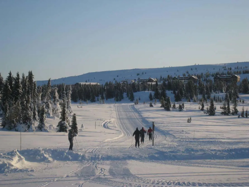 Hafjelltoppen Apartments Gaiastova