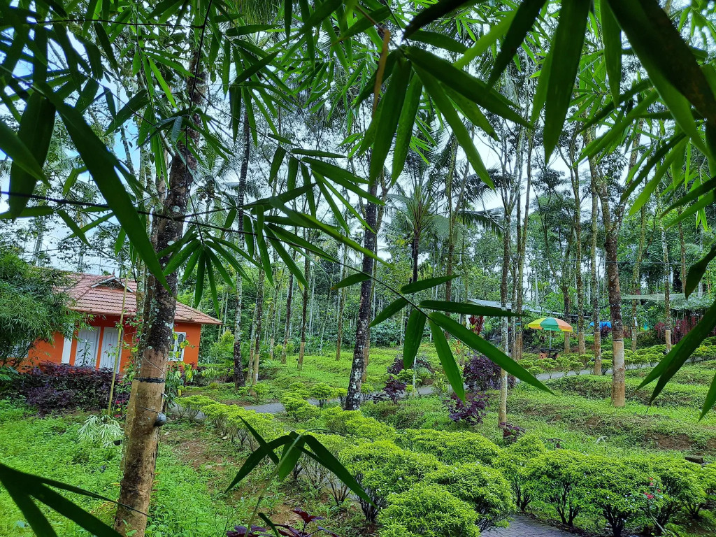 Himadri Retreat Cottage