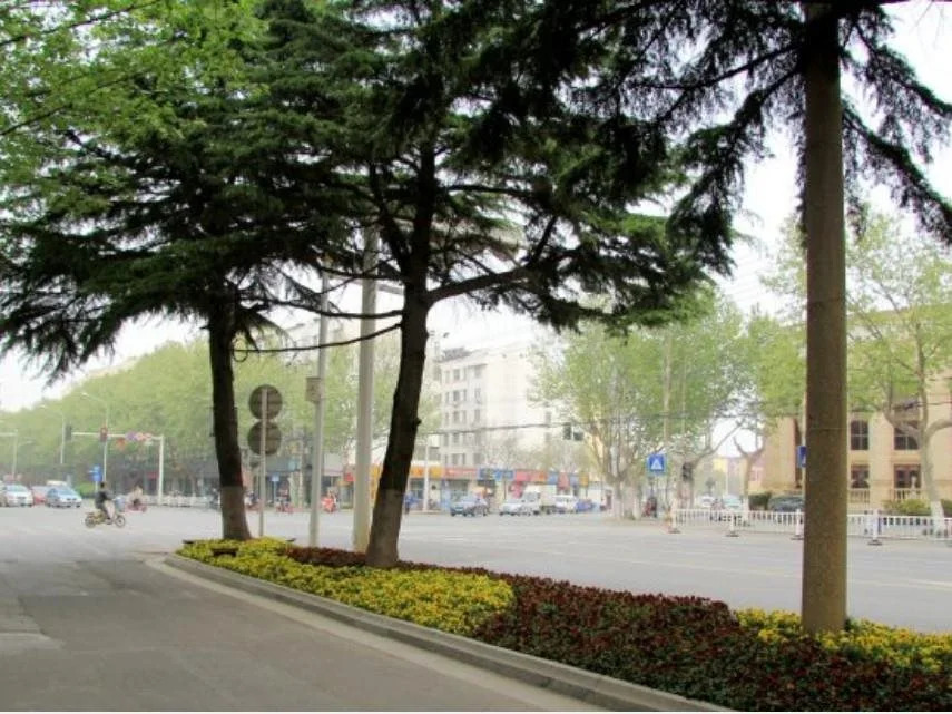 GreenTree Eastern Hotel Huaian Suning Plaza West Huaihai Road