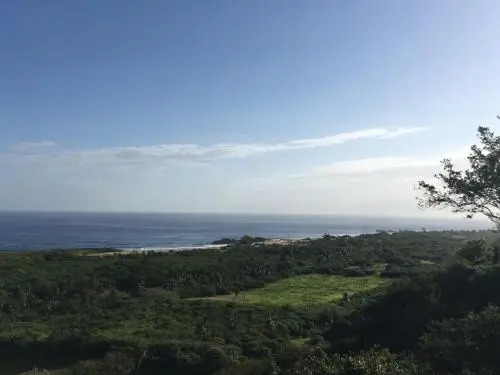Secret View
