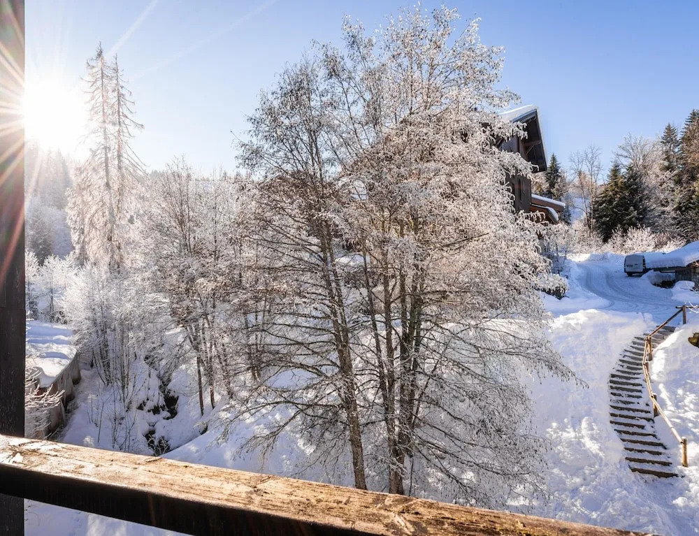 Slope-access Morillon Apartment for 4